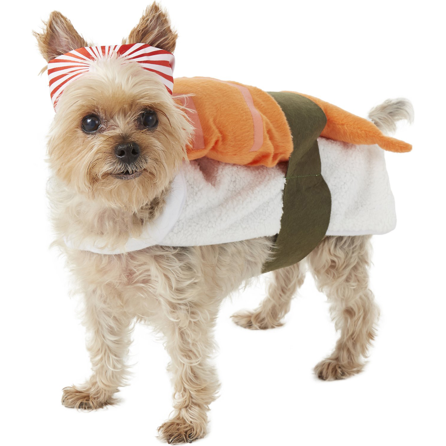 Rubie's Costume Company Sushi Dog & Cat Costume