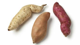 Sweet Potatoes vs. Yams