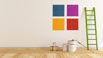 large paint swatches on wall