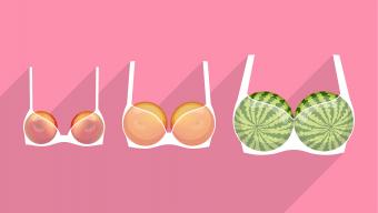 different fruits representing breasts