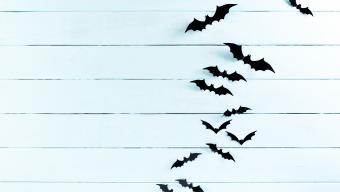 Halloween Bat Wall Decor