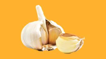 garlic bulb