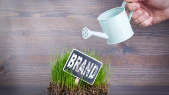 Grow Your Brand concept