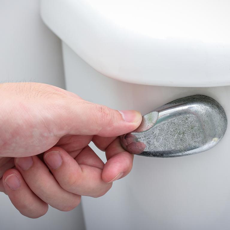 toilet flush valve
