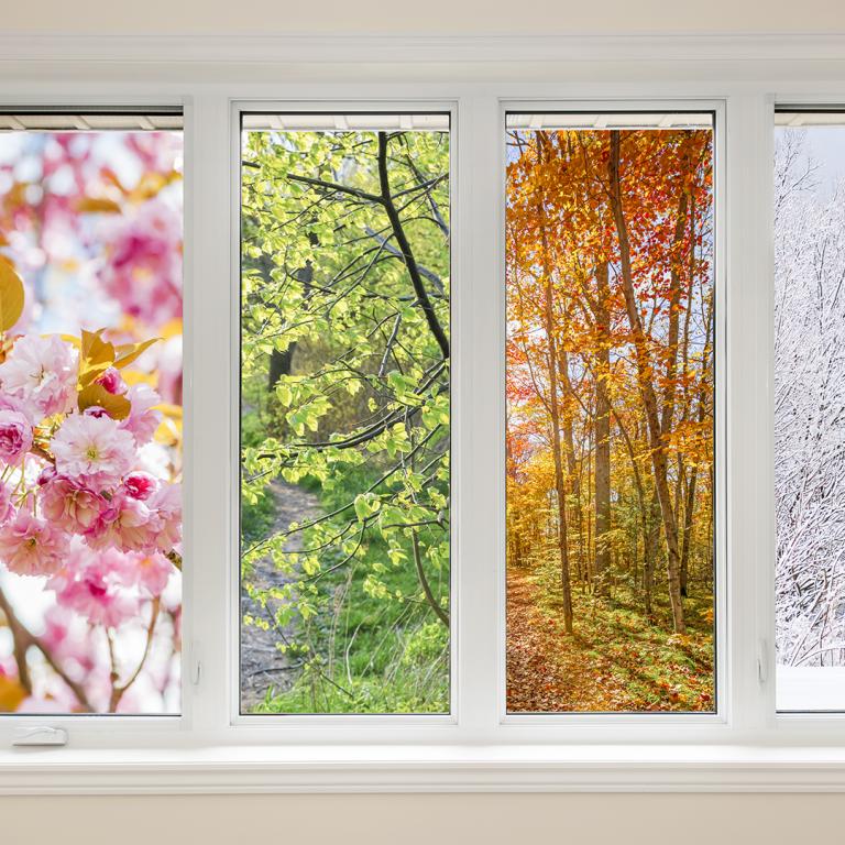 four windows showing all four seasons