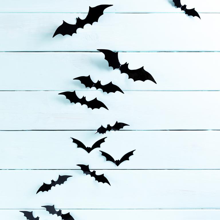 Halloween Bat Wall Decor