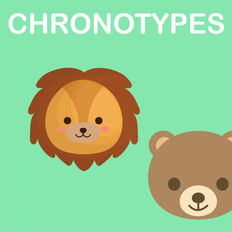 chronotypes illustration