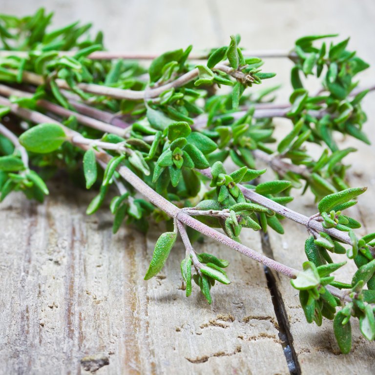 A bunch of thyme.