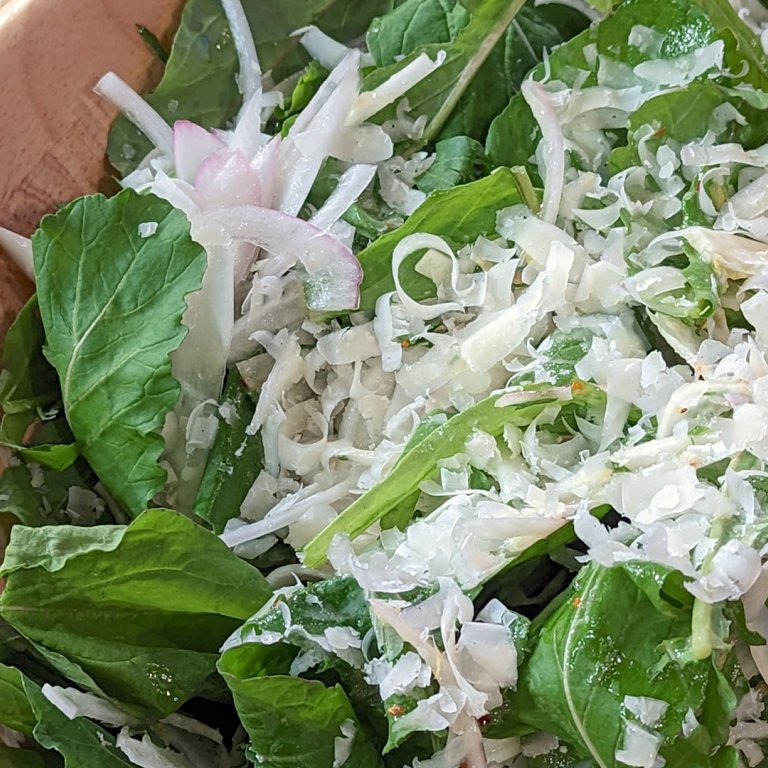 Kitchen Sink Salad (Arugula and Fennel Salad with Pickled Onion Dressing) 