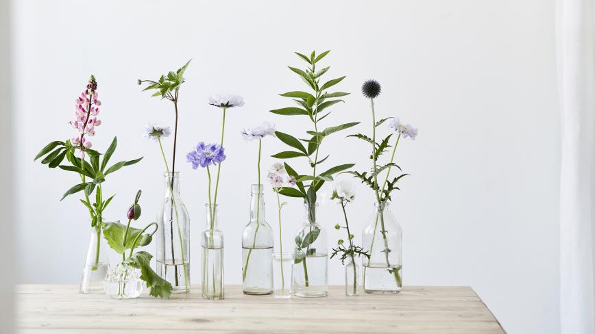 Assorted flowers in vases