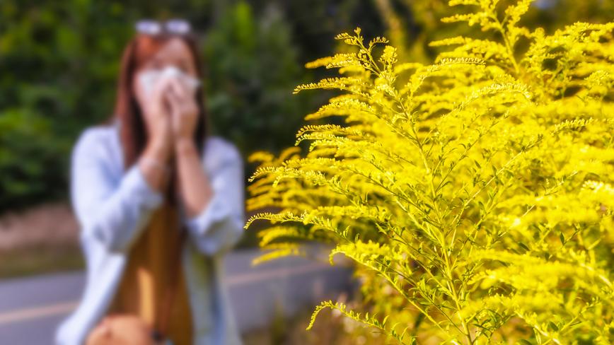 A sneeze from spring allergies