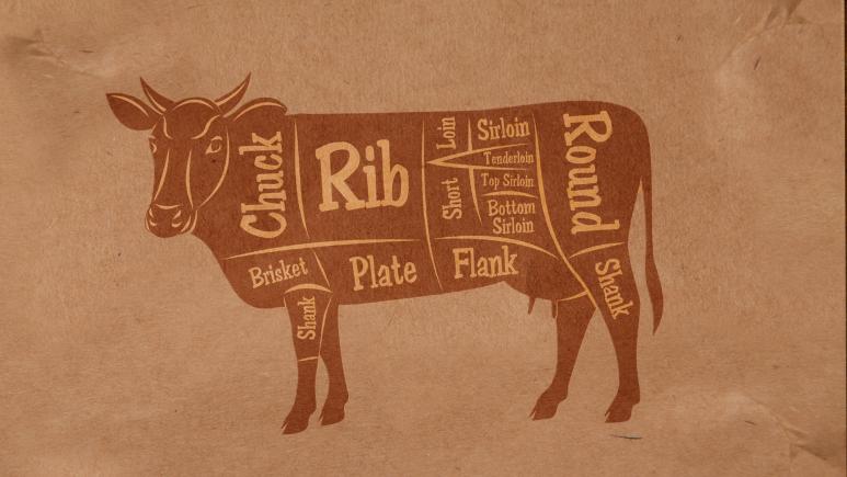 Cow Diagram