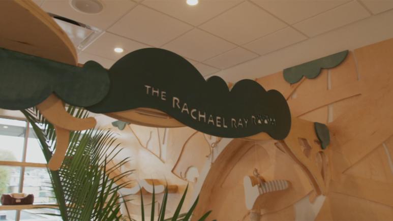 The Rachael Ray Room